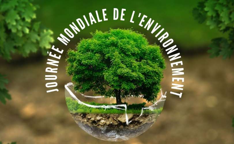 Journée Mondiale de lEnvironnement Seralia