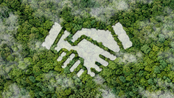 istockphoto 1444367860 612x612